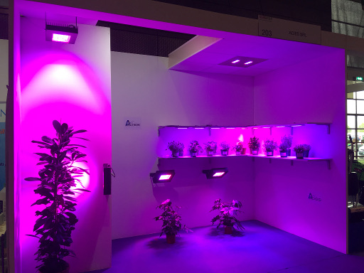 Cosmogarden 2019 stand 1